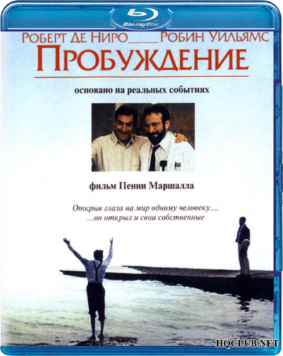 Пробуждение (1990)