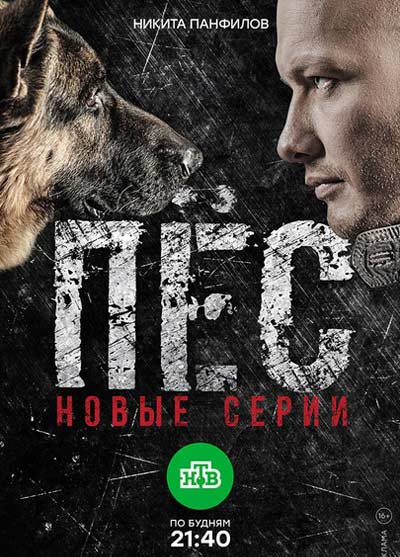 Сериал Пёс (все сезоны)