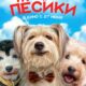 Любовь и пёсики (2024)