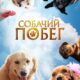Собачий побег (2023)