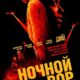 Ночной вор (2024)