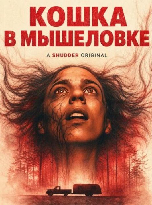Кошка в мышеловке (2025)