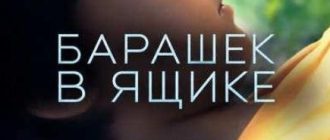 Барашек в ящике (2026)