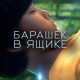 Барашек в ящике (2026)